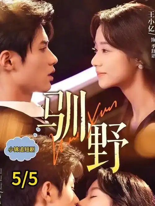 年代悬疑剧暗巷十七号在线观看